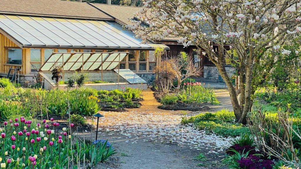 Hollyhock campus on Cortes Island