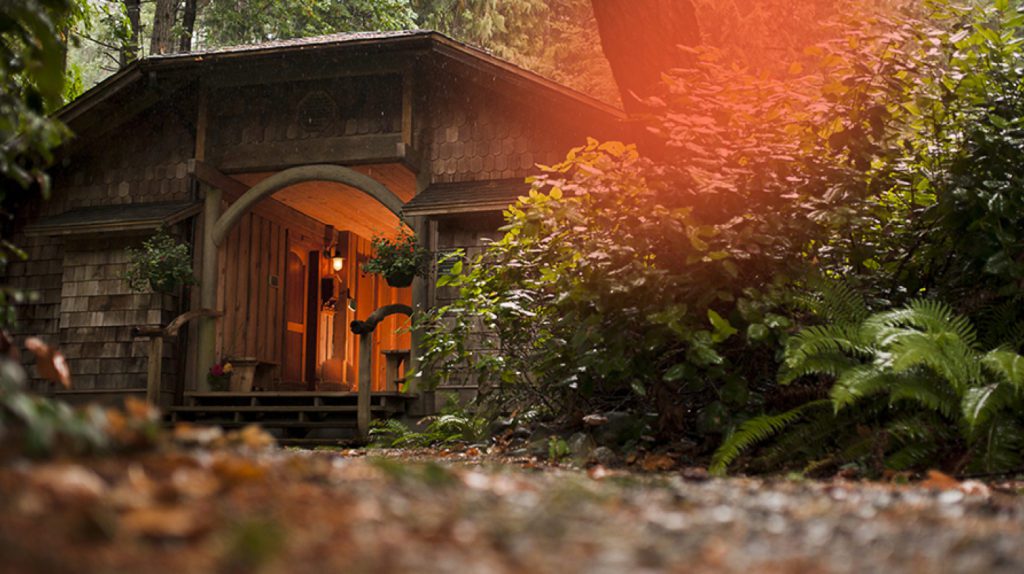 Cozy cabin in the forest