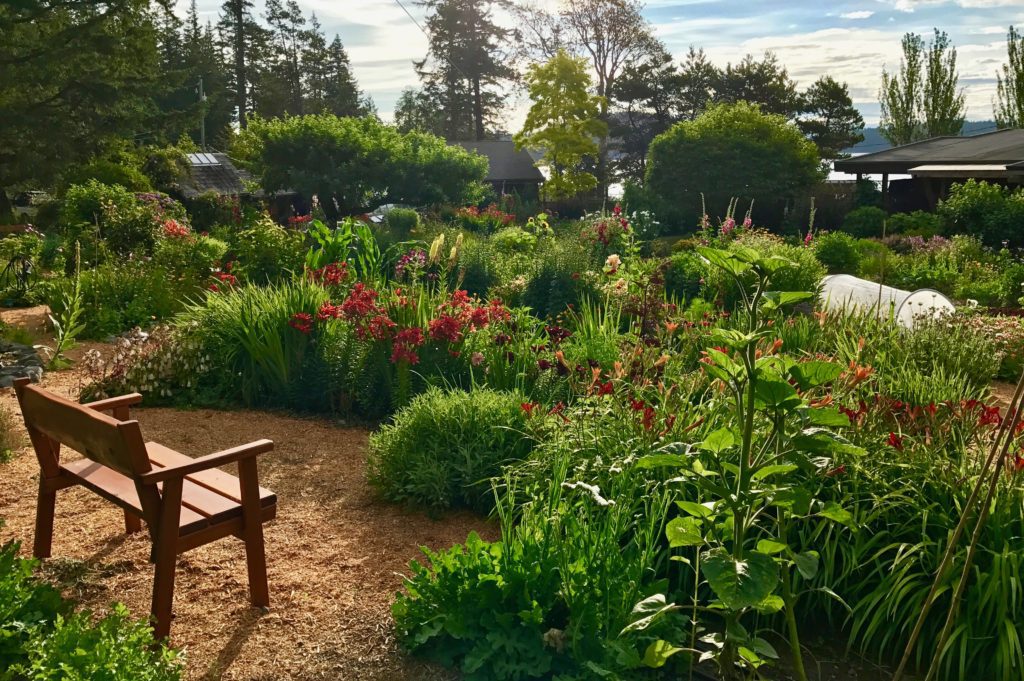 Gardens at Hollyhock Retreat Centre on Cortes Island