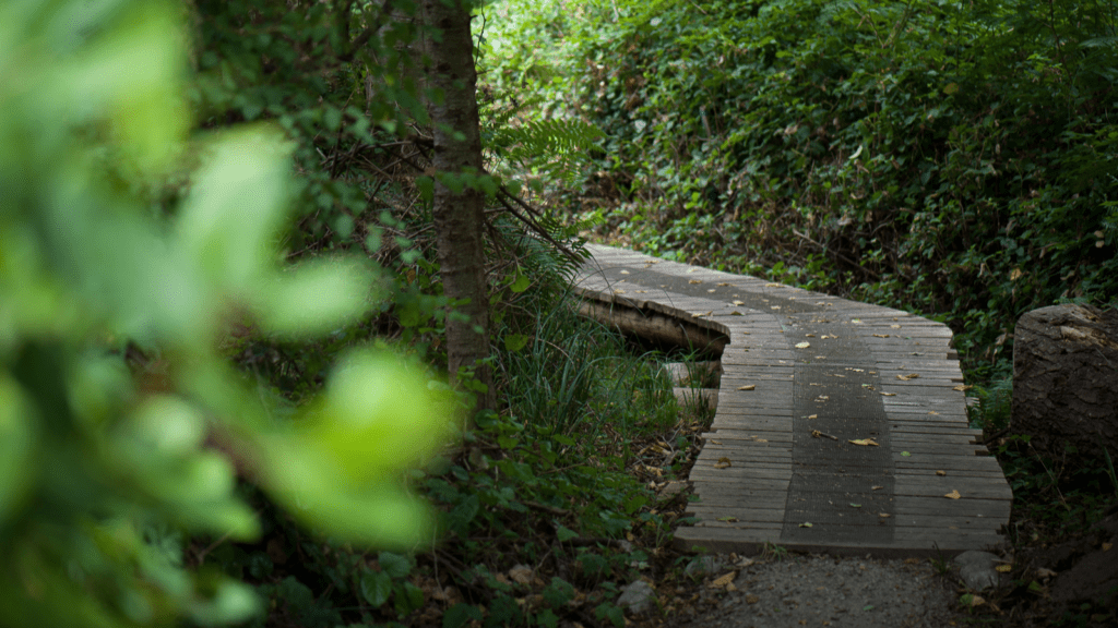 Garden path at Hollyhock Retreat Centre on Cortes Island