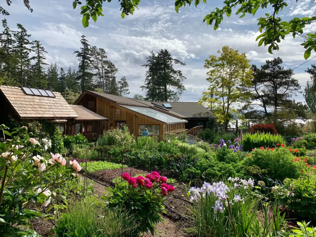 Flowers grow abundantly in Hollyhock's campus garden on Cortes Island.