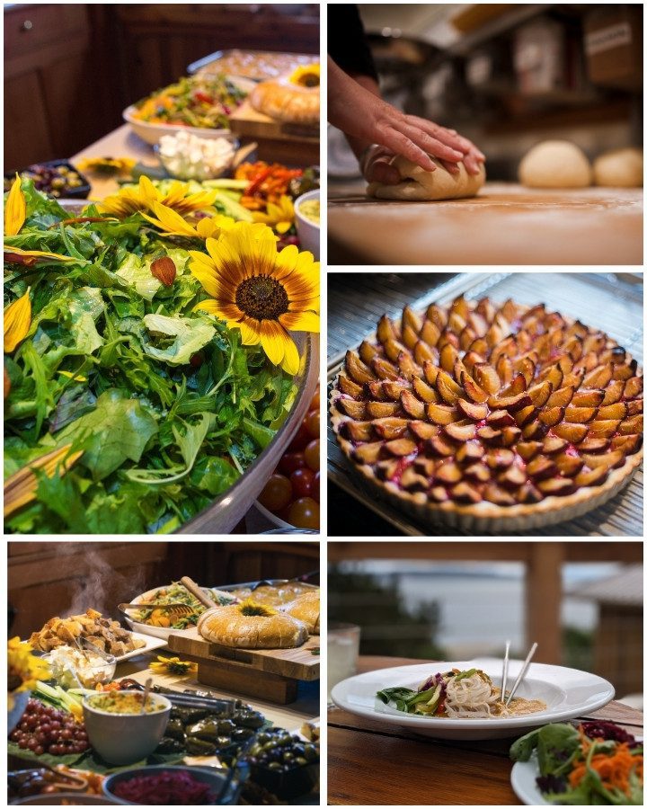 Hollyhock Food and Dining