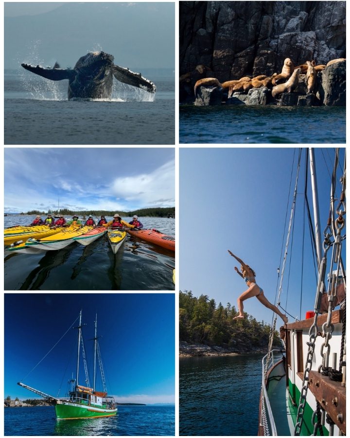 Enjoy the incredible beauty of Desolation Sound by kayak or sail