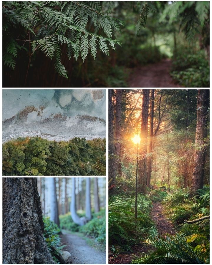 The natural beauty of Cortes Island