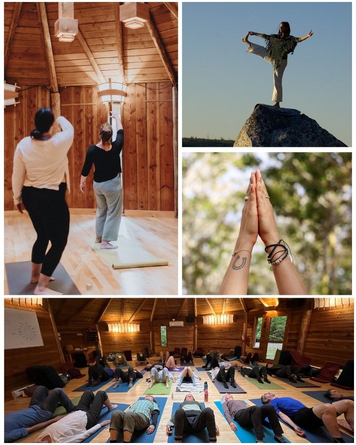 Hollyhock Yoga and Movement