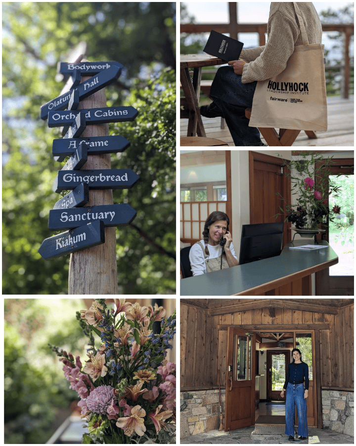 Welcome to Hollyhock