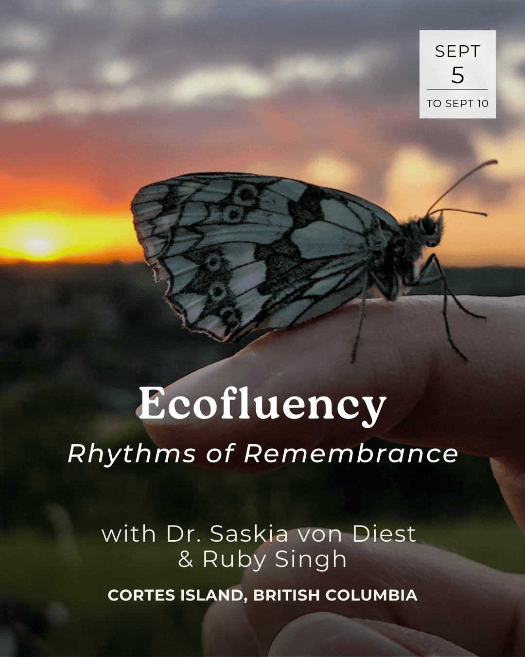 Ecofluency
