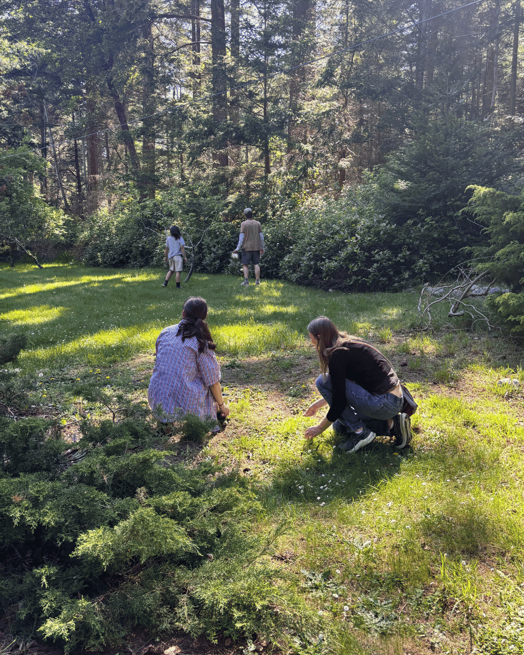 People picking flowers